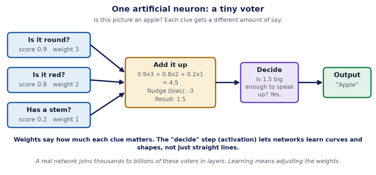 One artificial neuron. Three clues, is it round, is it red and does it have a stem, each have a score and a weight. They are added up to 4.5, a nudge of minus 3 gives 1.5, and the decide step says yes, so the output is apple.