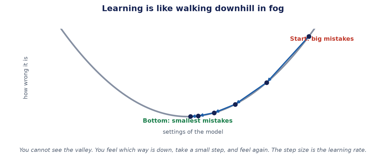 A curve shaped like a valley. A ball starts high on one side with big mistakes and takes smaller and smaller steps down towards the bottom, where the mistakes are smallest.