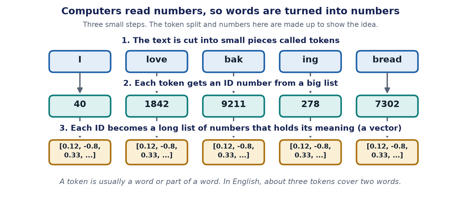 Three rows. First, the text I love baking bread is cut into five small pieces called tokens. Second, each token gets an ID number. Third, each ID becomes a long list of numbers that holds its meaning, called a vector.